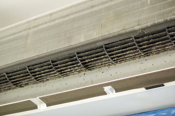 Best Commercial Air Duct Cleaning  in Dallastown, PA
